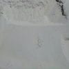 White Sand Samples